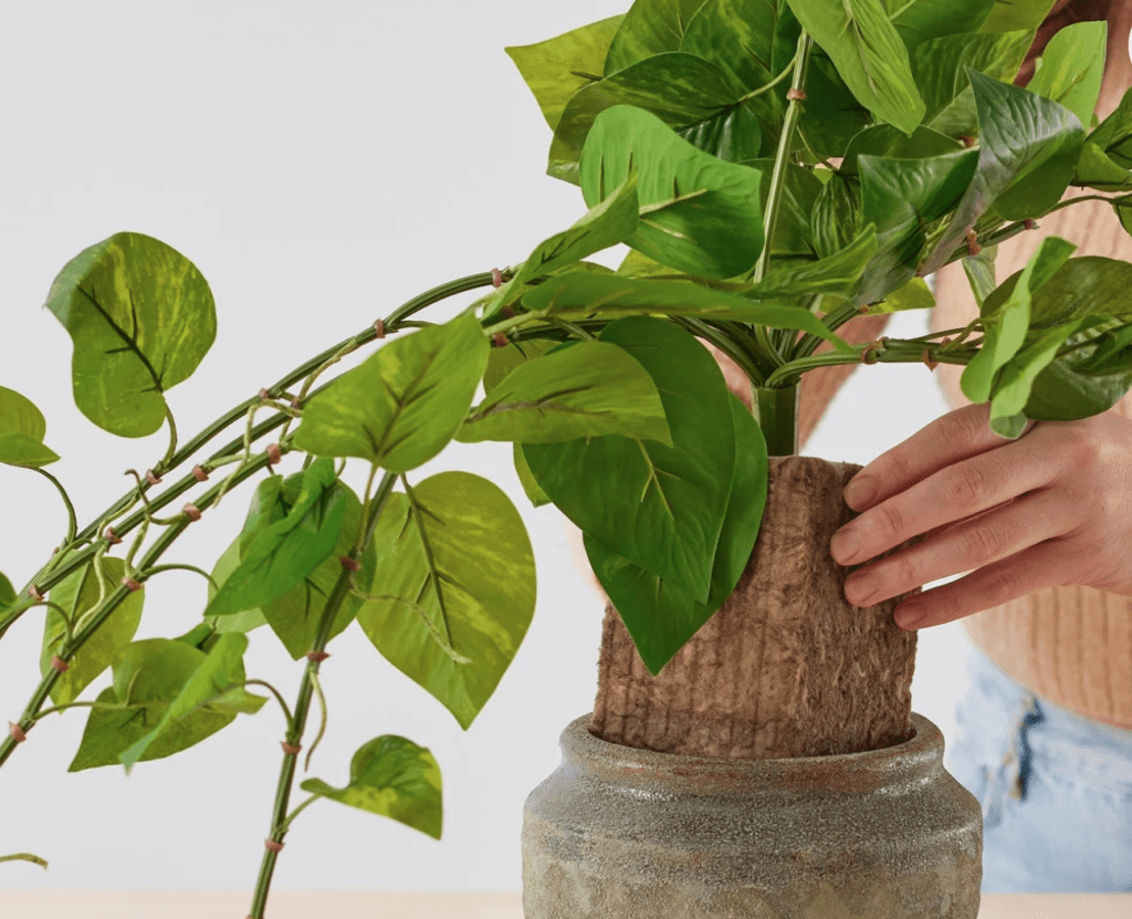 Sustainable foam for flowers 